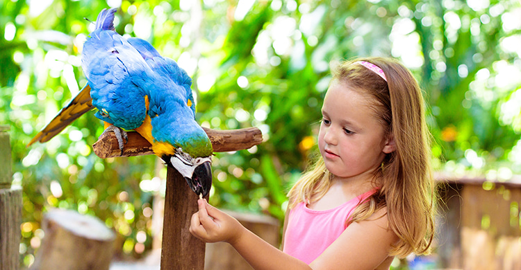 A young girl smiles while a bird sits on her hand on a field trip to long island